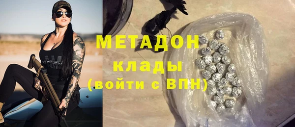 прущие грибы Аркадак