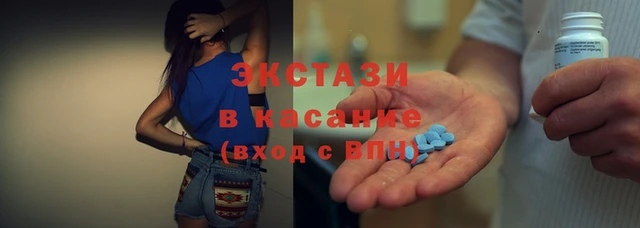 прущие грибы Аркадак