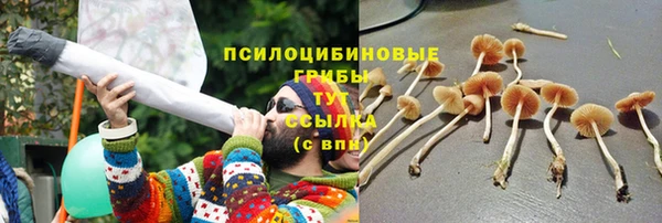 скорость Арсеньев