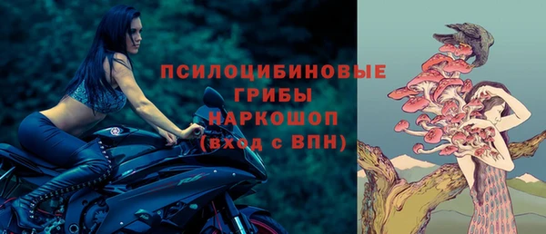 экстази Новодвинск