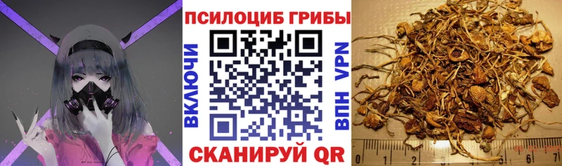 хочу   Новая Ляля  Галлюциногенные грибы Magic Shrooms 